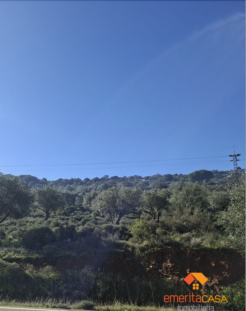 Venta de finca rústica en Castuera