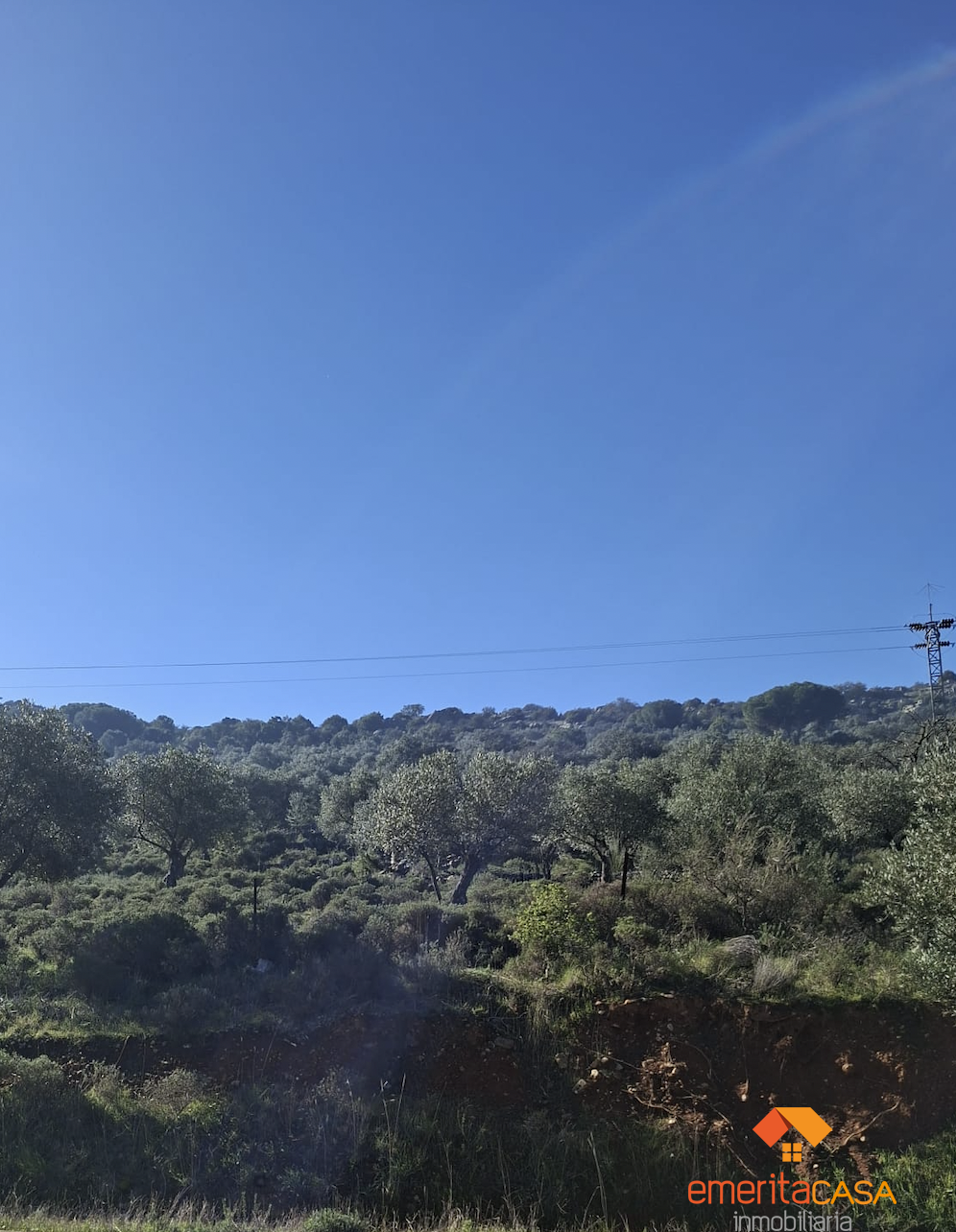 Venta de finca rústica en Castuera