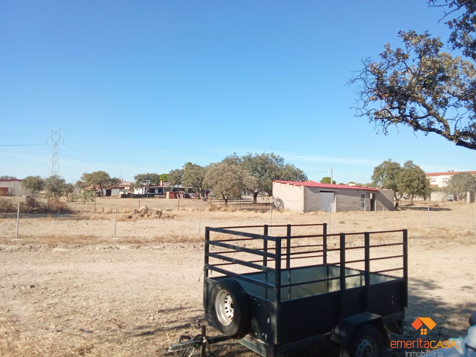 Venta de finca rústica en Mérida