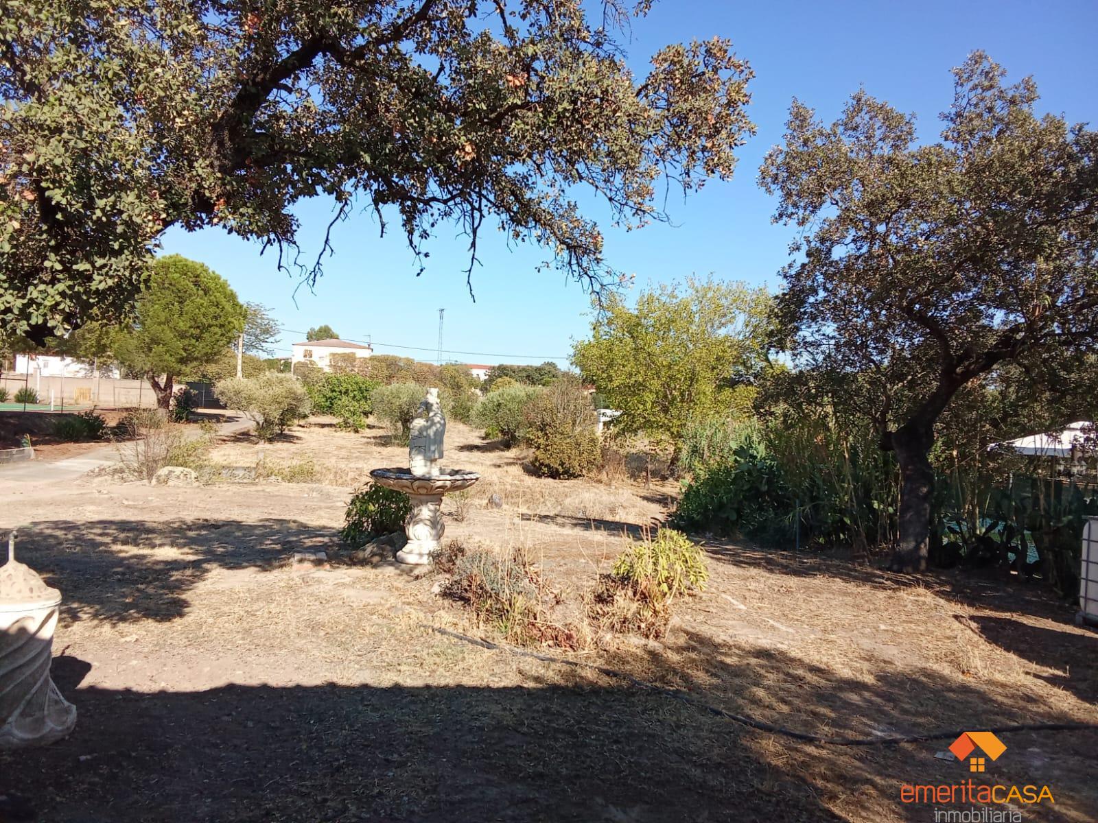 Venta de finca rústica en Mérida