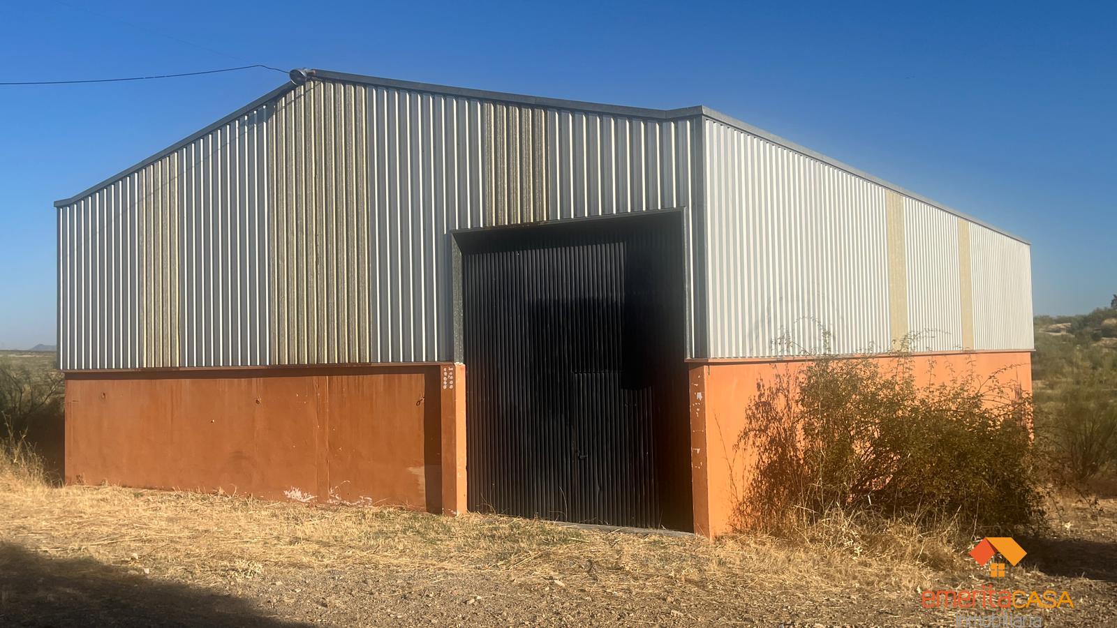 Venta de chalet en Almendralejo