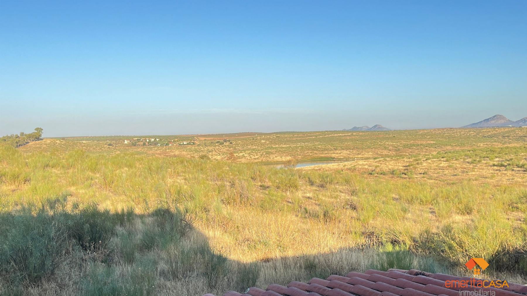 Venta de chalet en Almendralejo