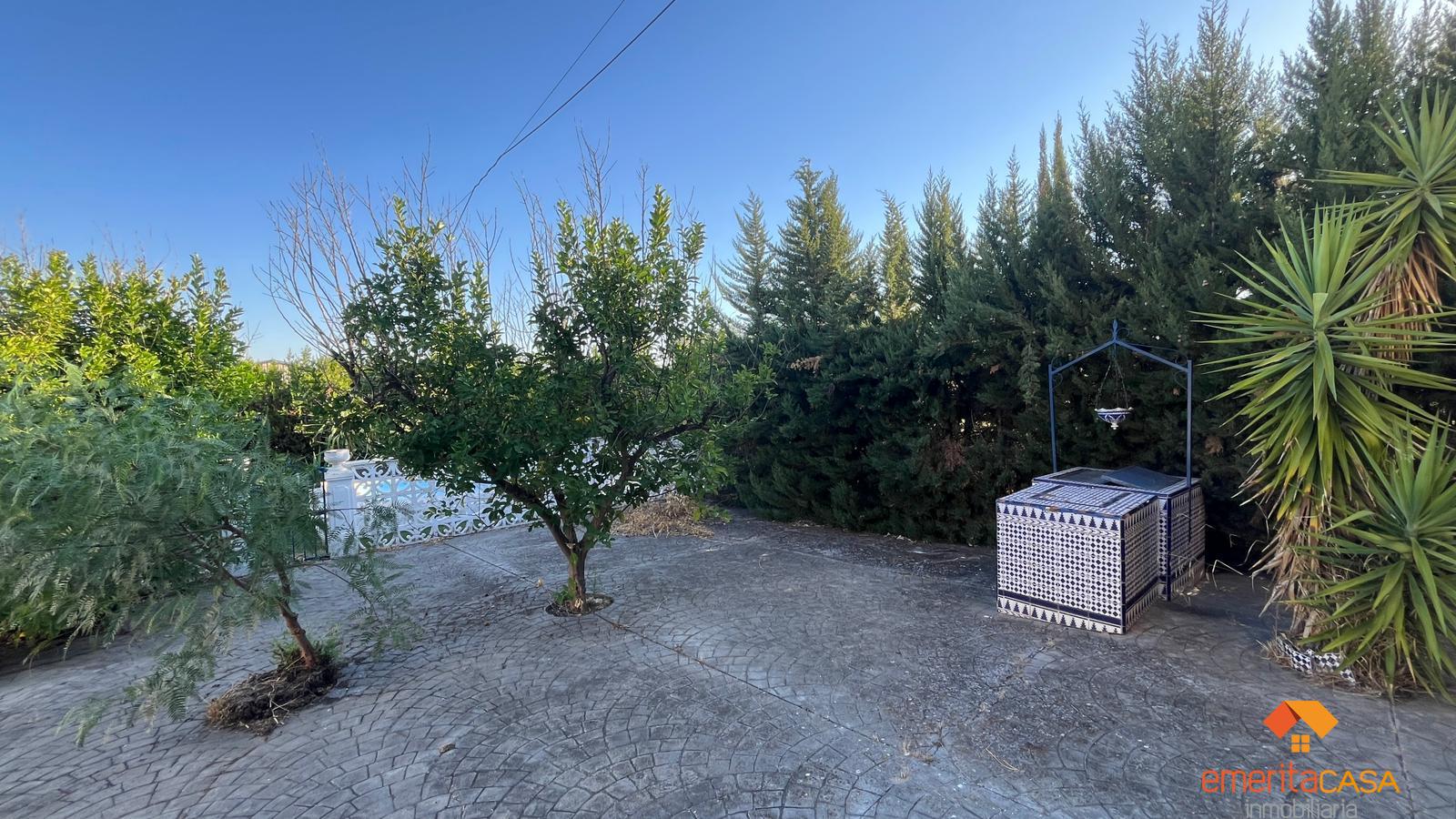 Venta de chalet en Almendralejo