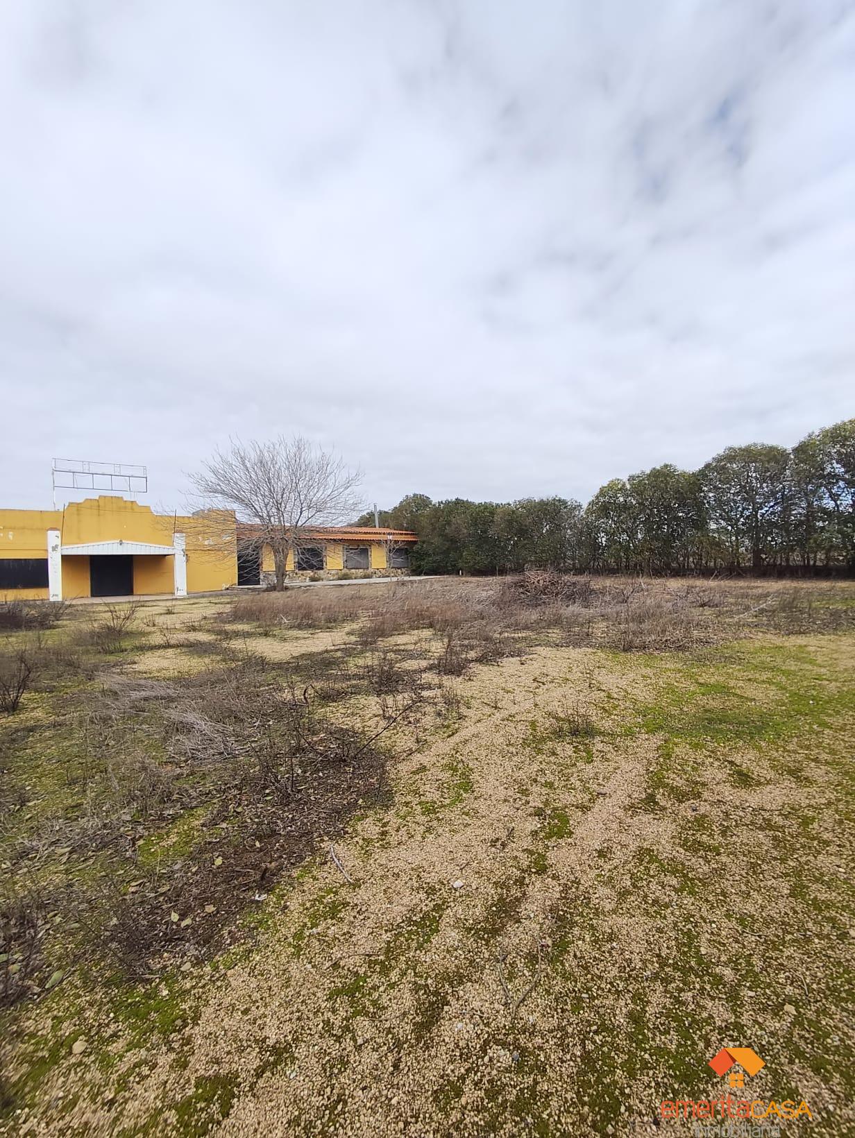 Venta de terreno en Almendralejo