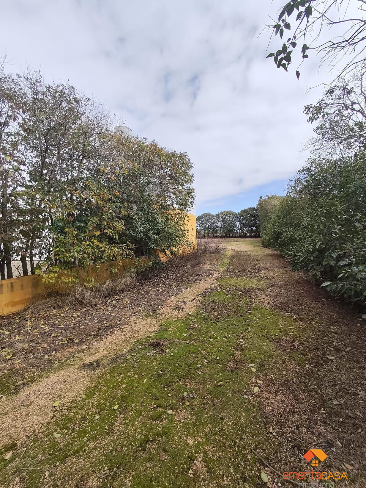 Venta de terreno en Almendralejo