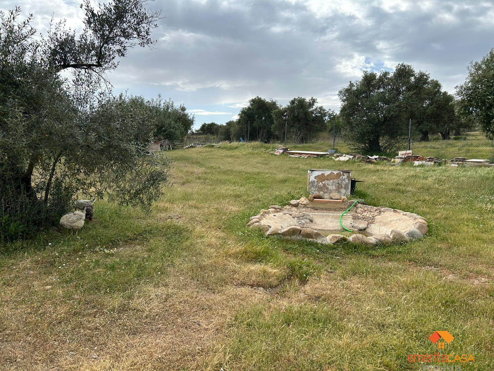 Venta de finca rústica en Mérida