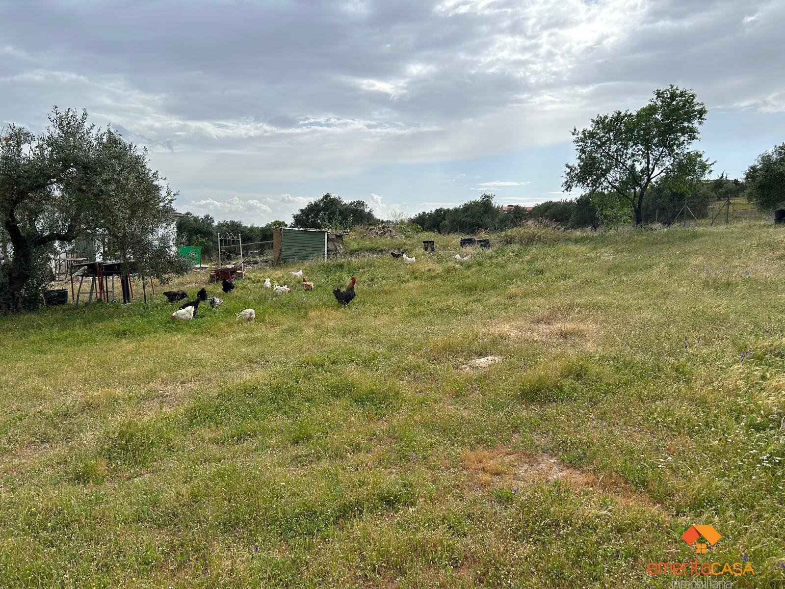Venta de finca rústica en Mérida