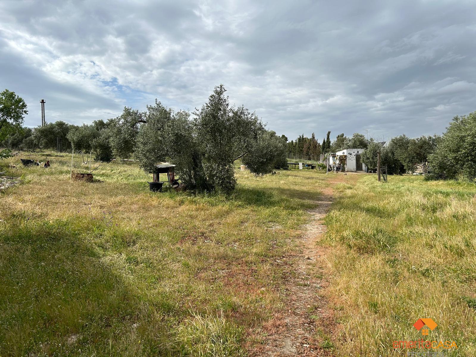 Venta de finca rústica en Mérida