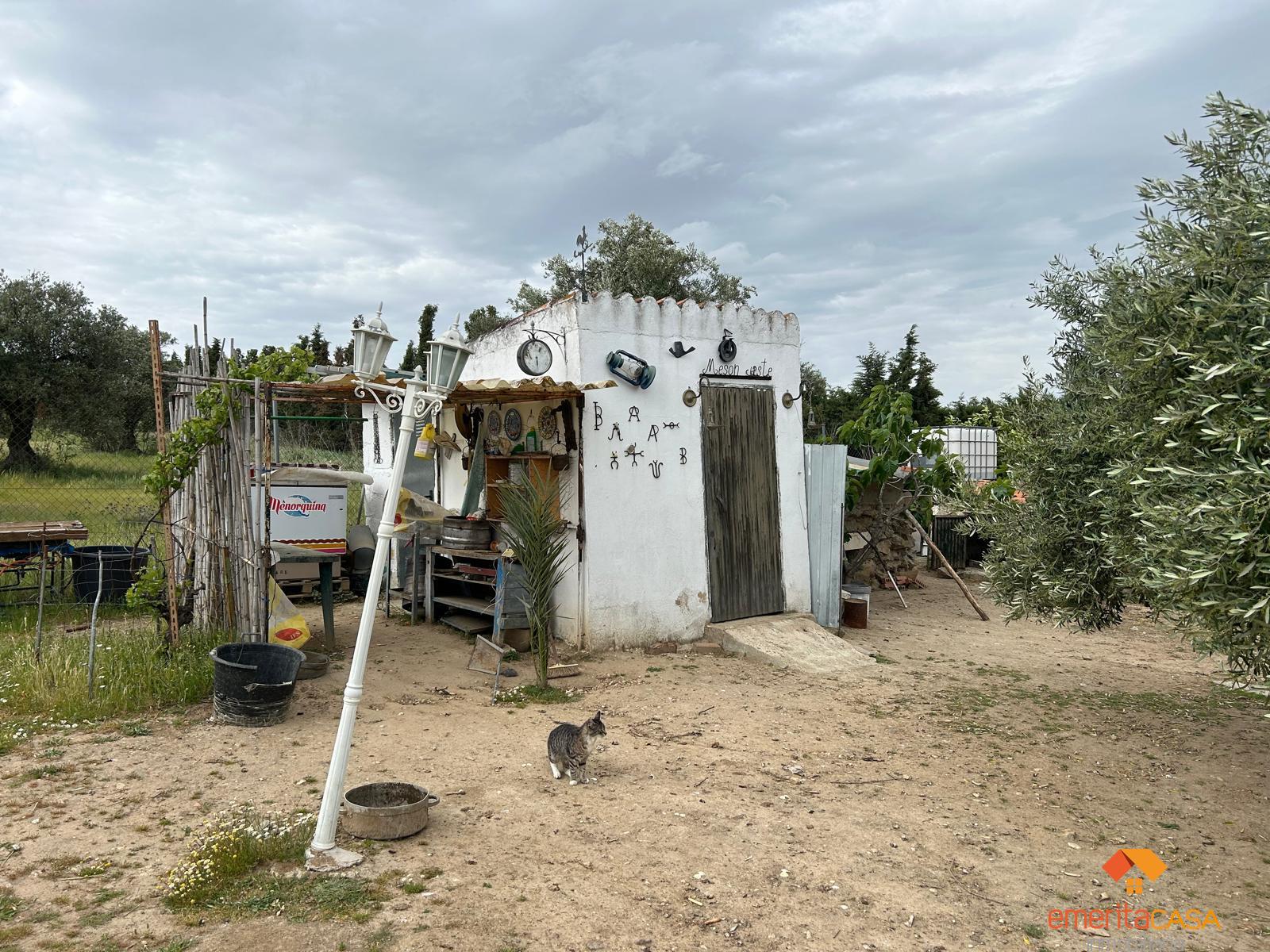 Venta de finca rústica en Mérida