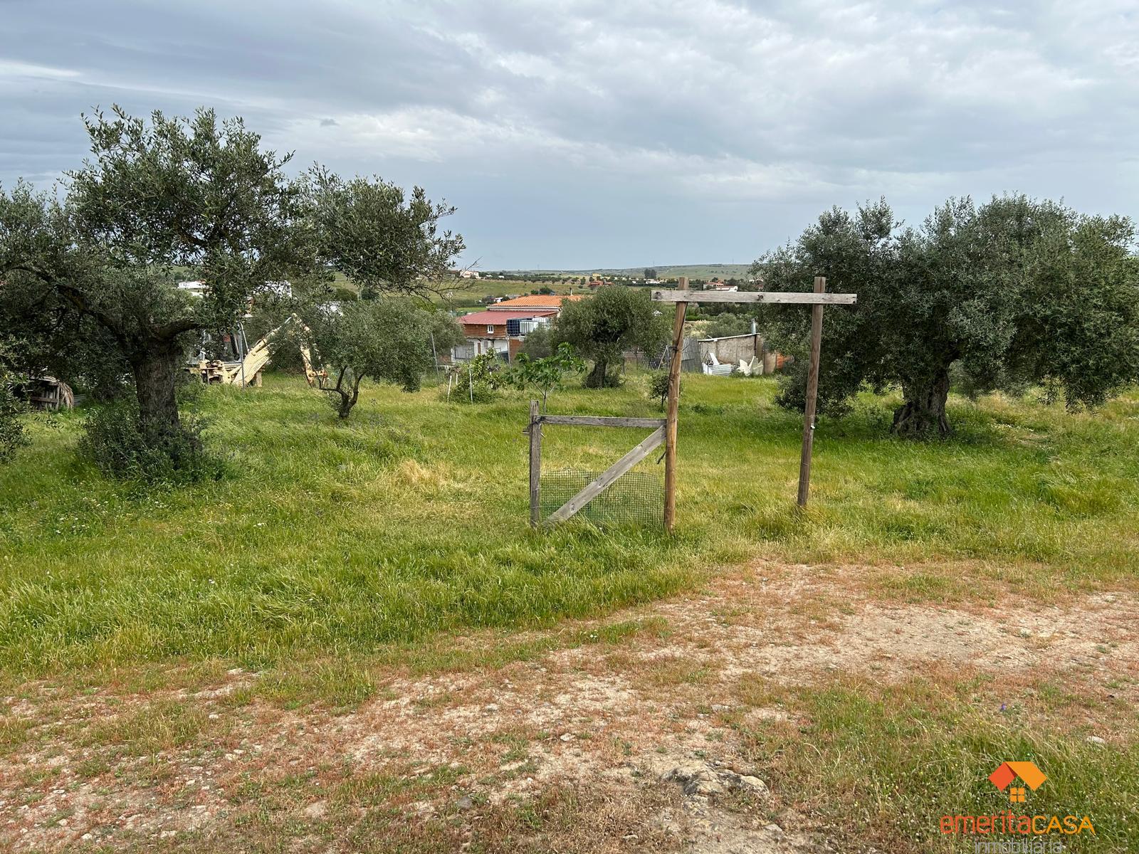 Venta de finca rústica en Mérida