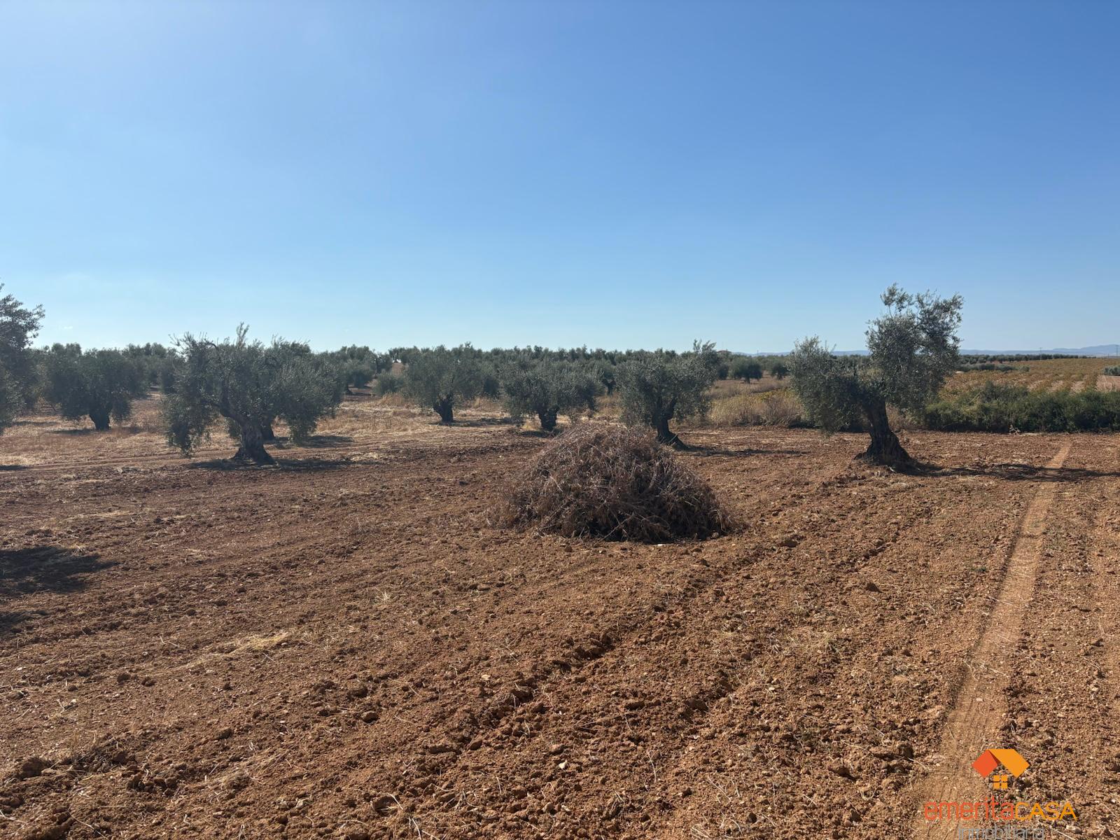 Venta de terreno en Almendralejo