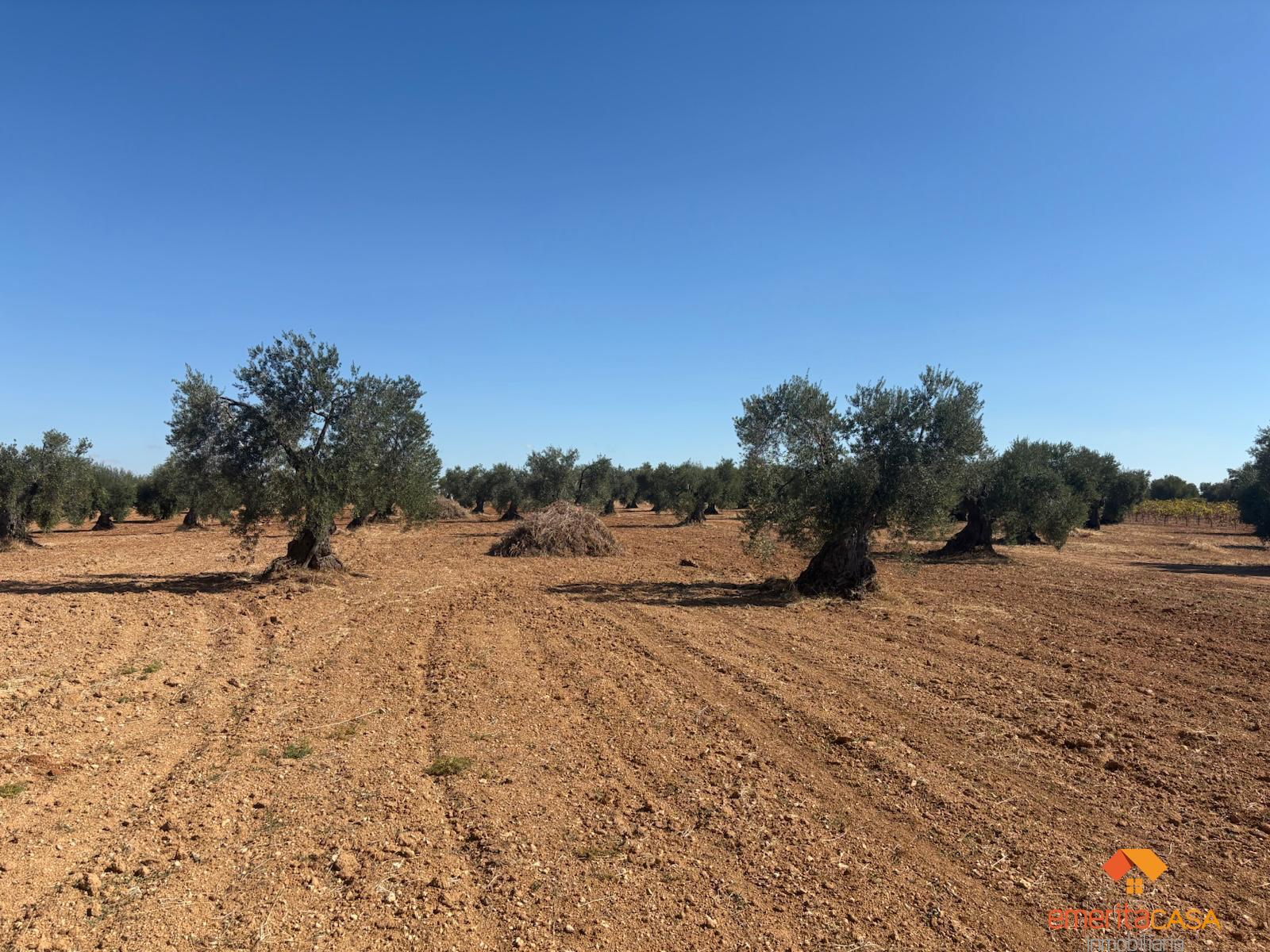Venta de terreno en Almendralejo