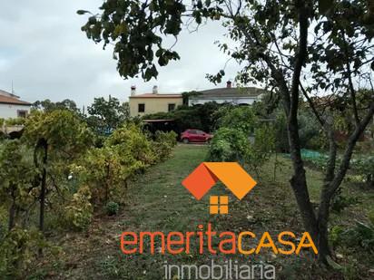 Venta de finca rústica en Cáceres