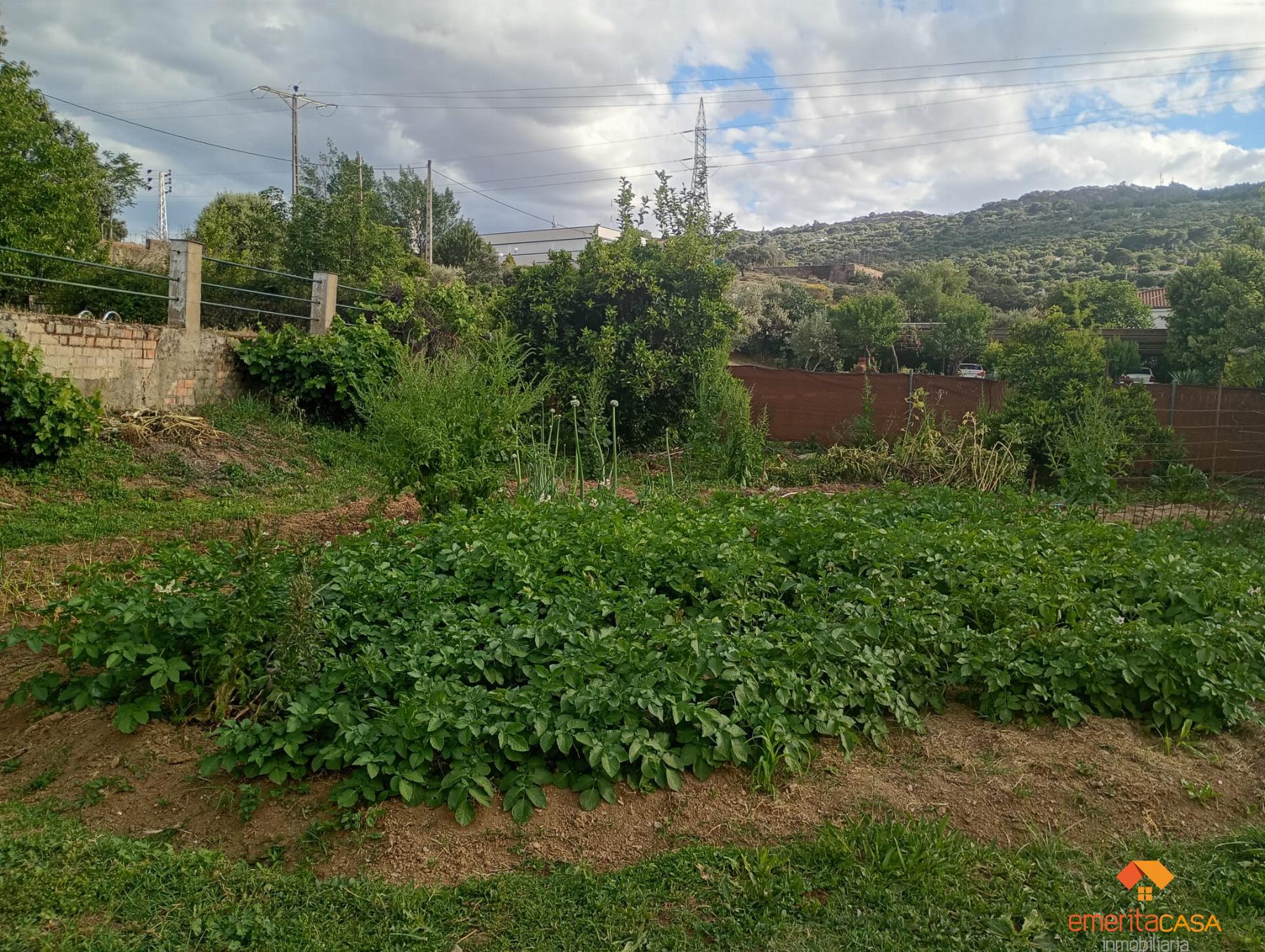 Venta de finca rústica en Cáceres