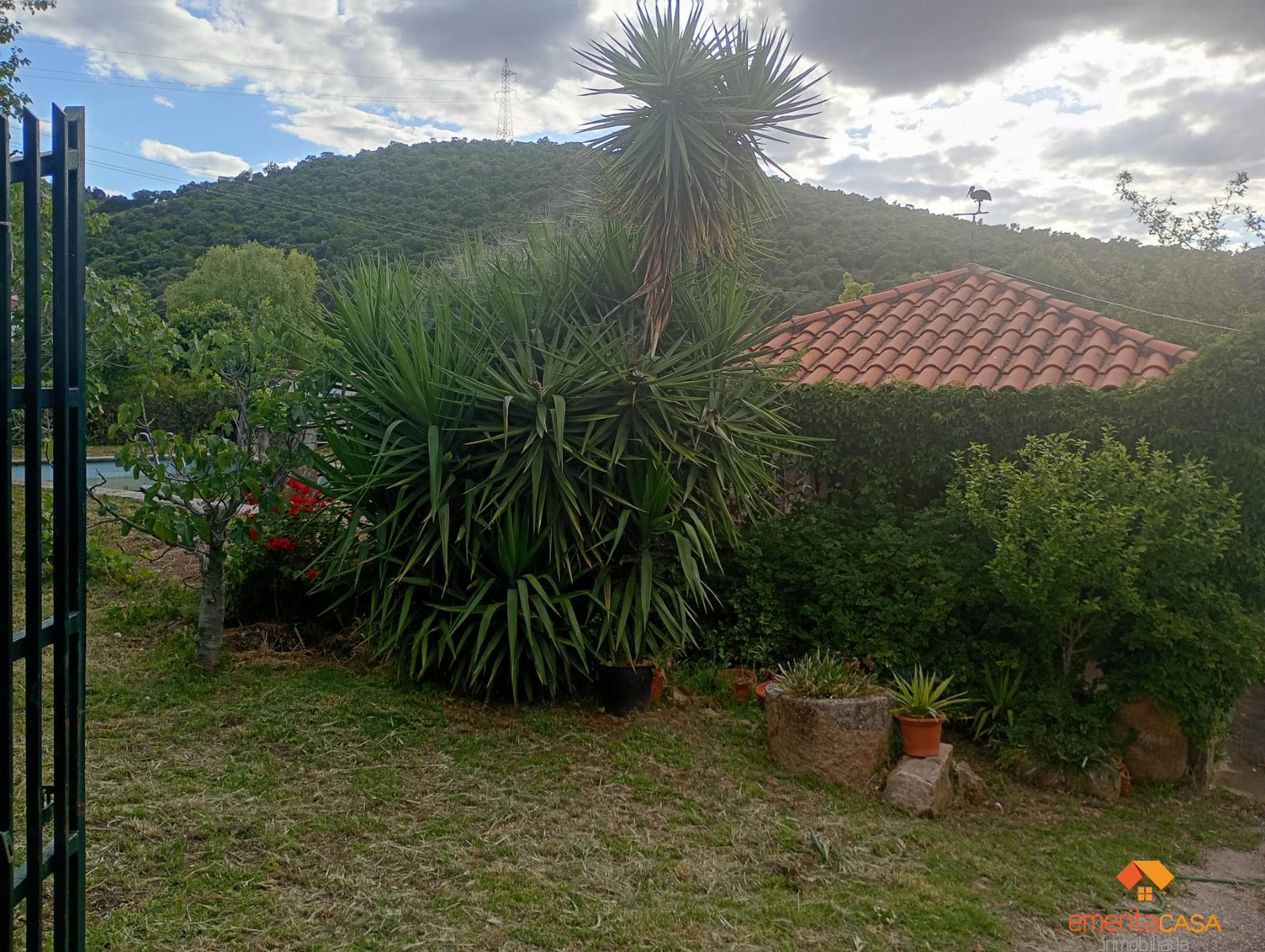 Venta de finca rústica en Cáceres