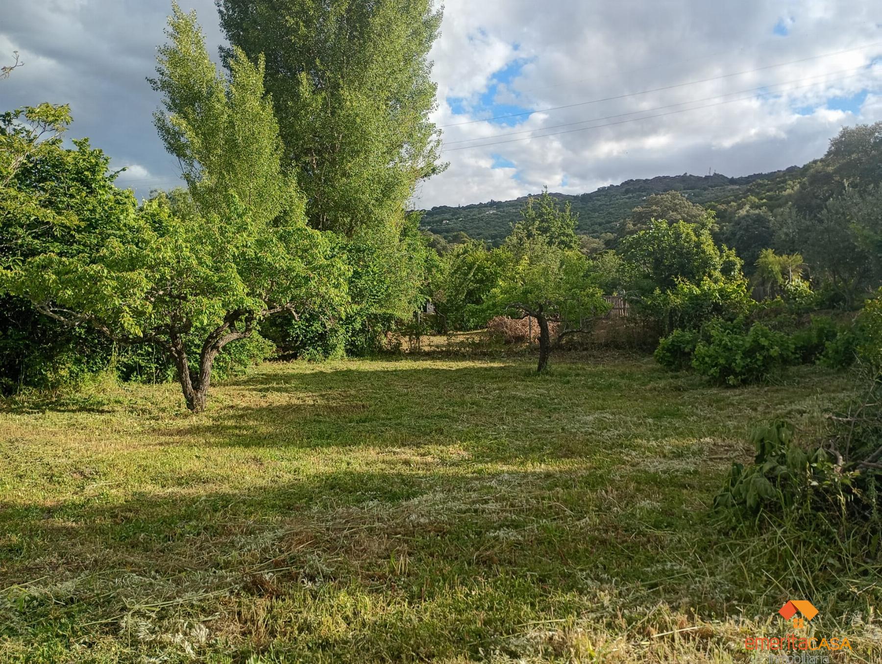 Venta de finca rústica en Cáceres
