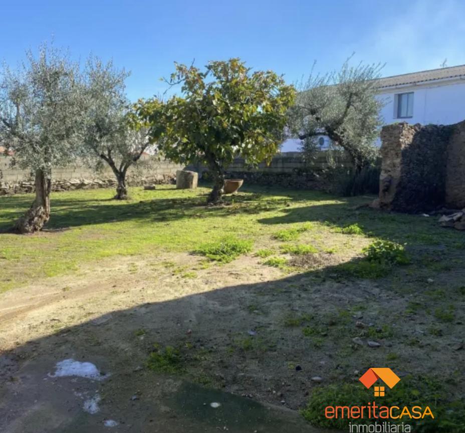 Venta de finca rústica en Escurial