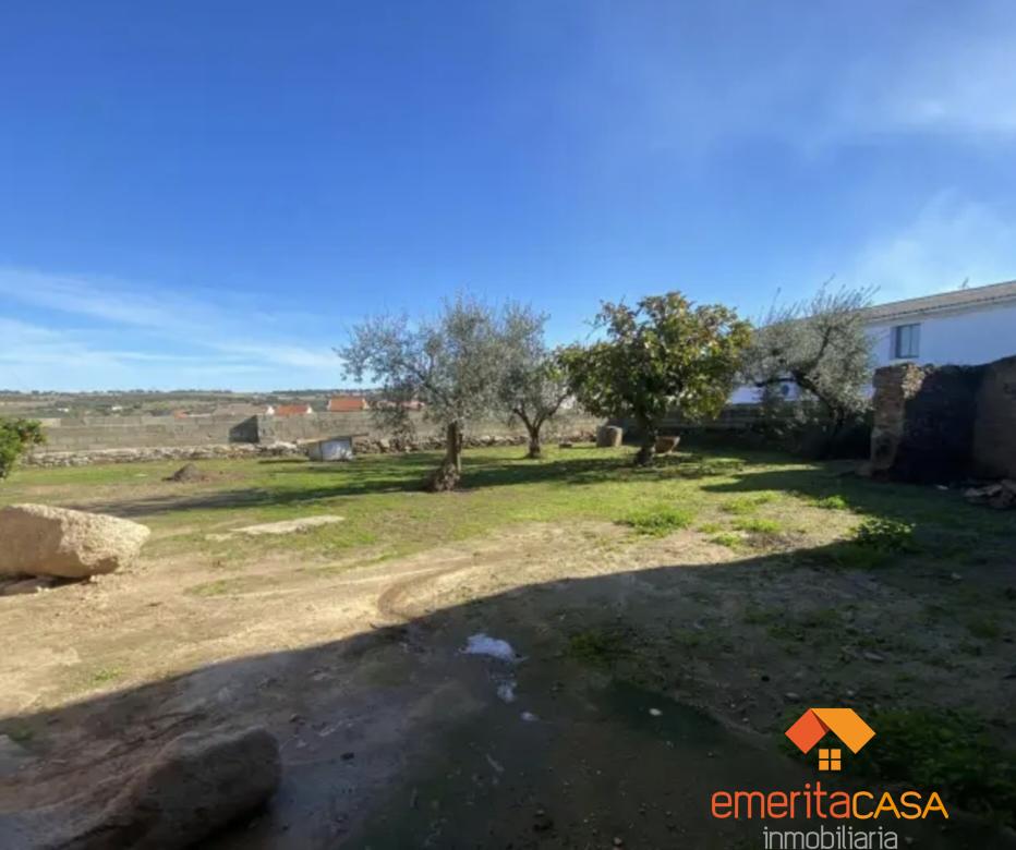 Venta de finca rústica en Escurial