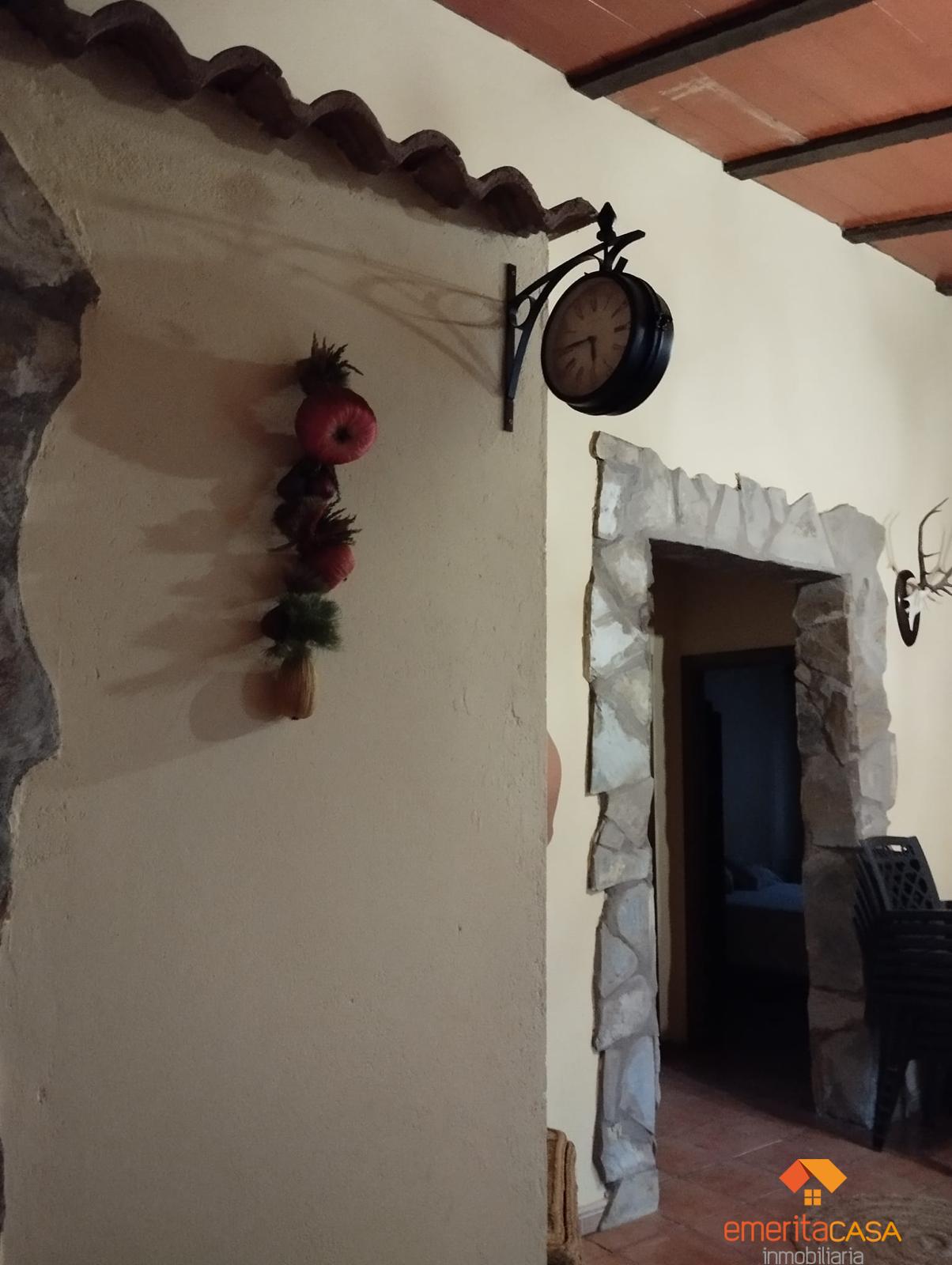 Venta de finca rústica en Don Álvaro
