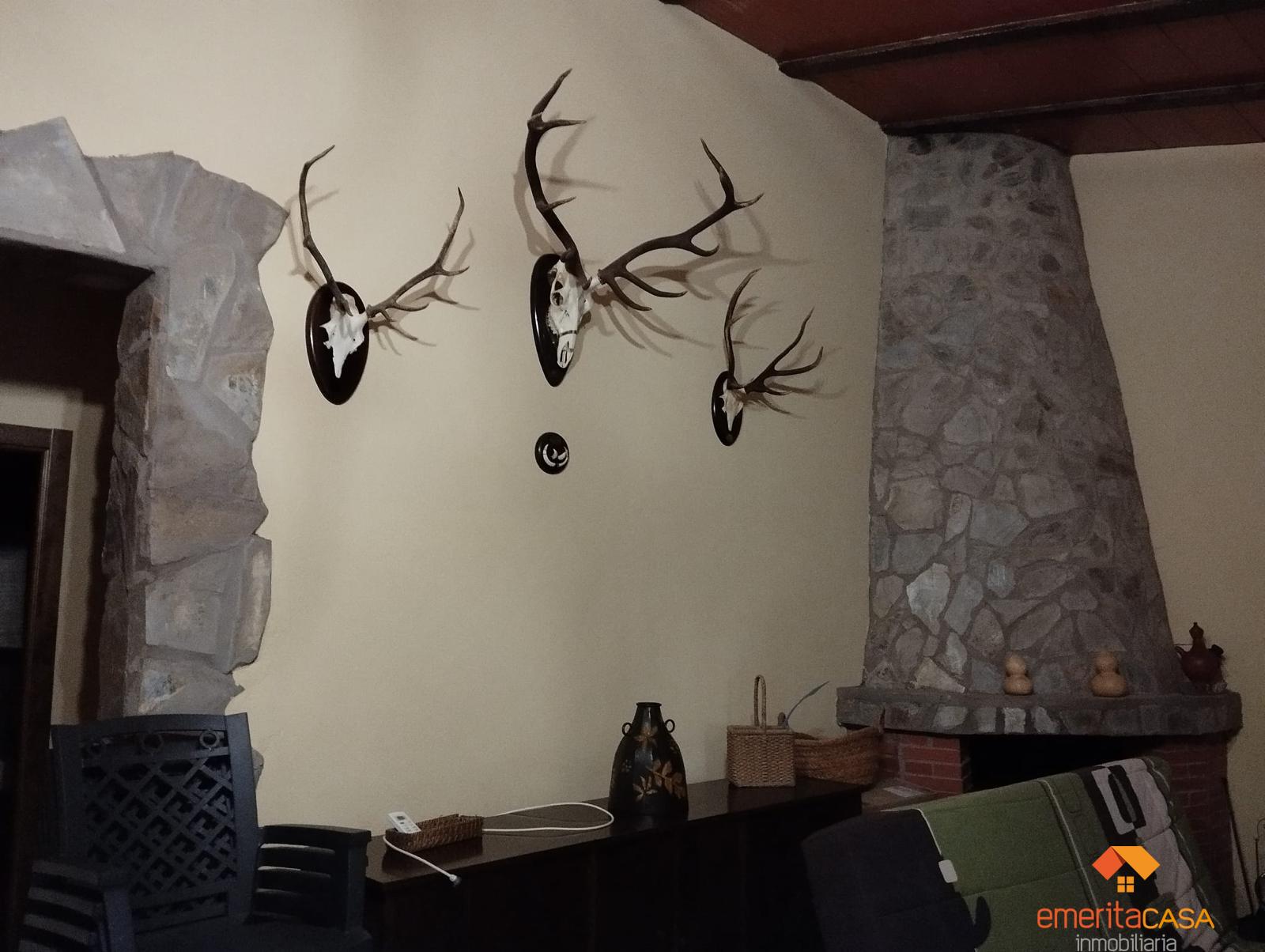 Venta de finca rústica en Don Álvaro