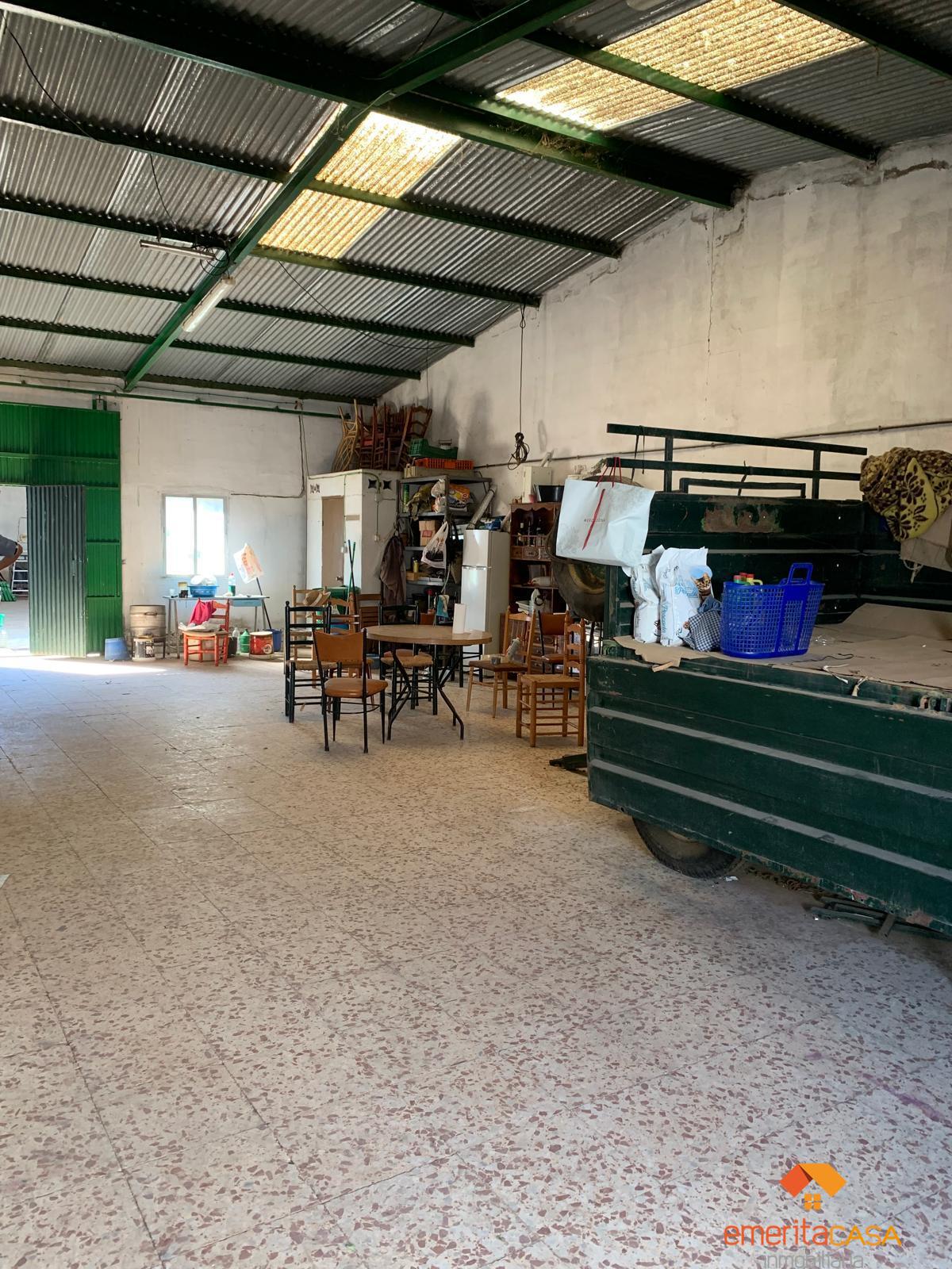 Venta de terreno en Almendralejo