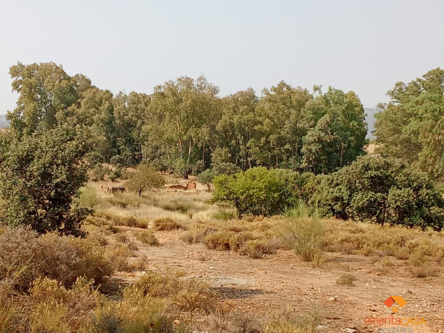 Venta de terreno en Mérida