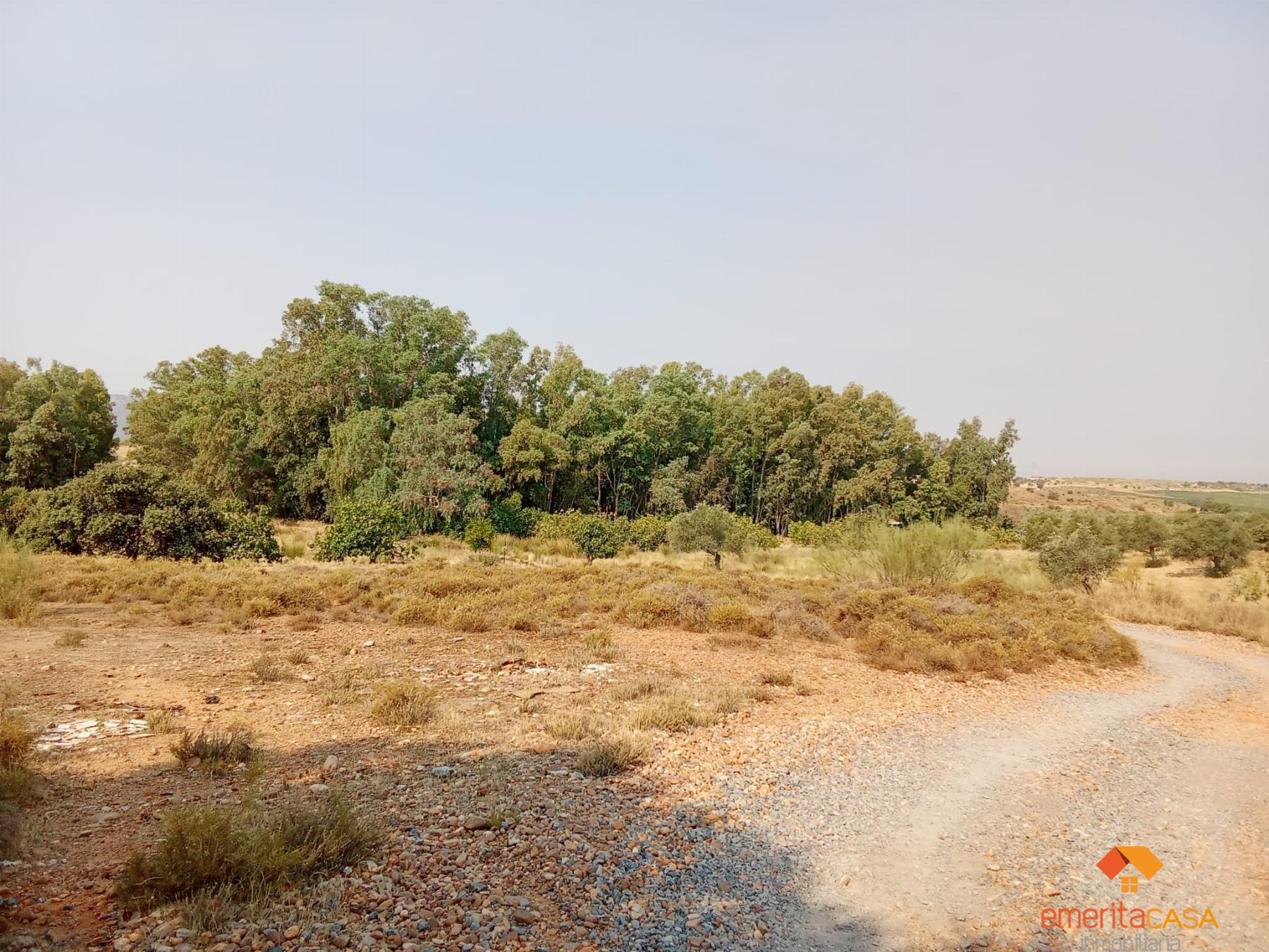 Venta de terreno en Mérida