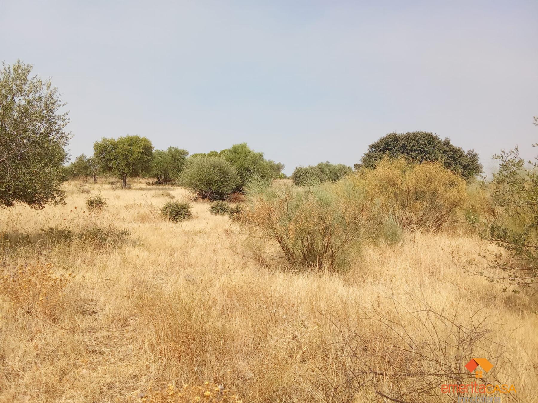 Venta de terreno en Mérida