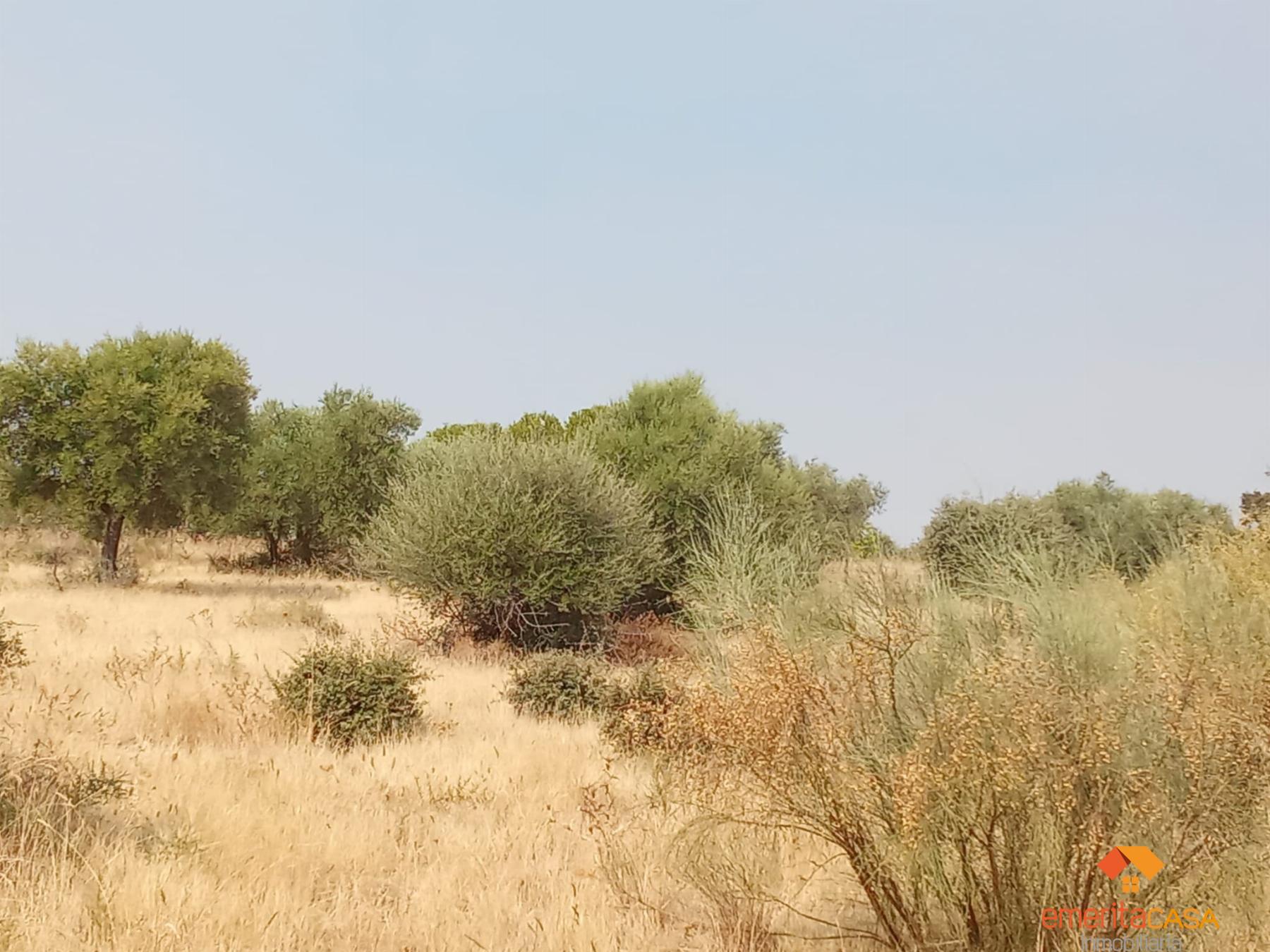 Venta de terreno en Mérida