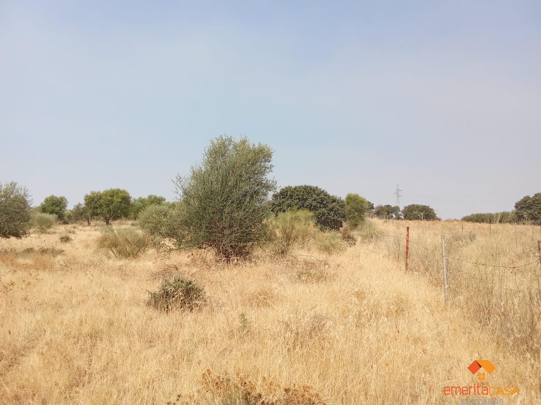 Venta de terreno en Mérida