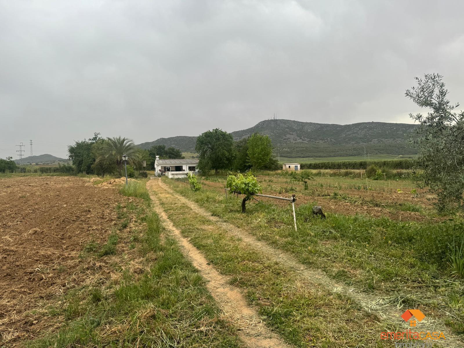 Venta de finca rústica en Mérida