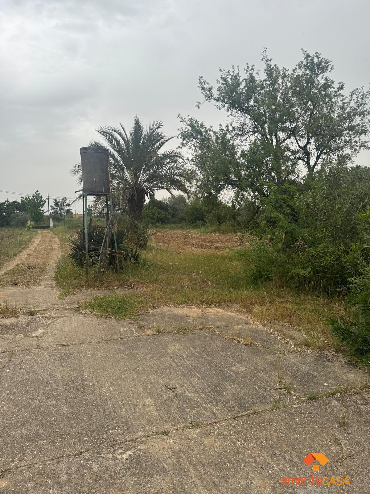 Venta de finca rústica en Mérida