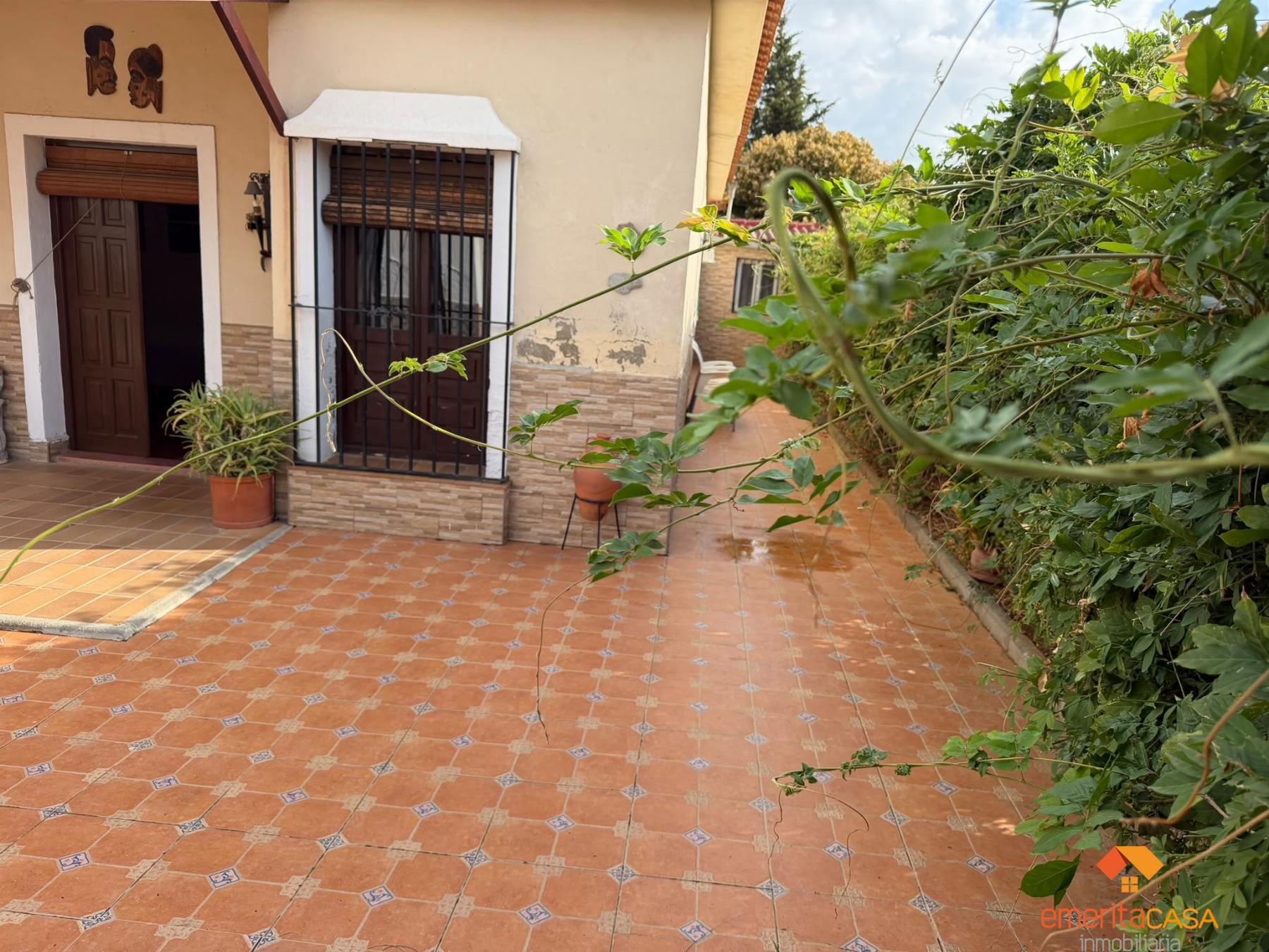 Venta de finca rústica en Mérida