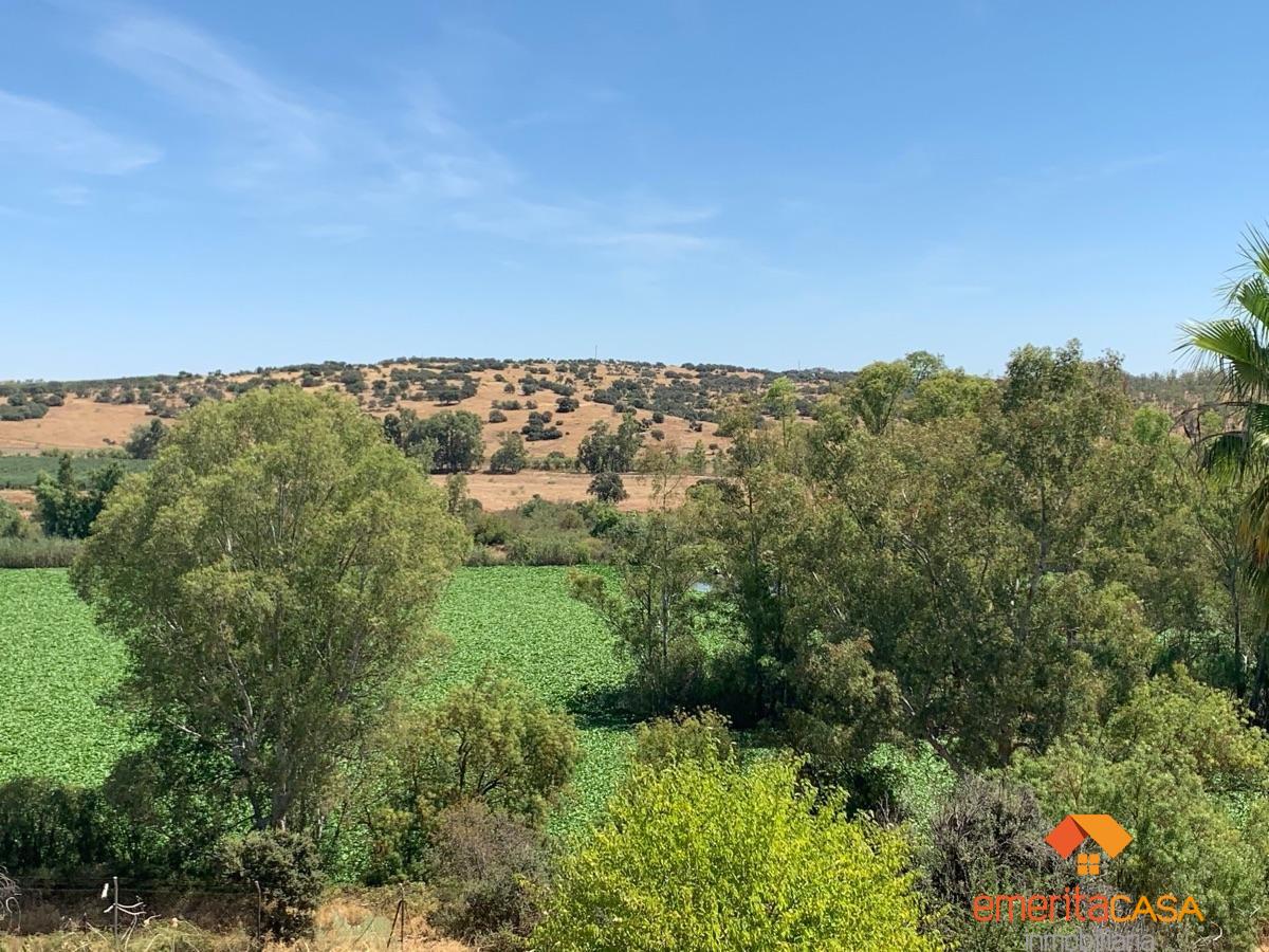 Venta de terreno en Mérida