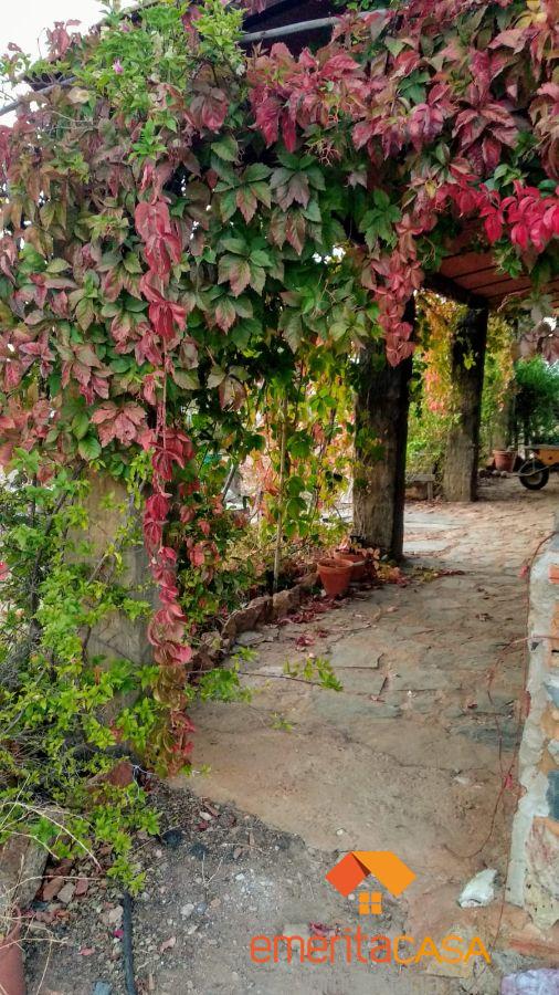 For sale of  in Guareña