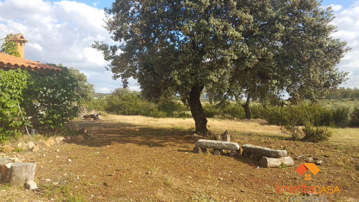 For sale of  in Guareña