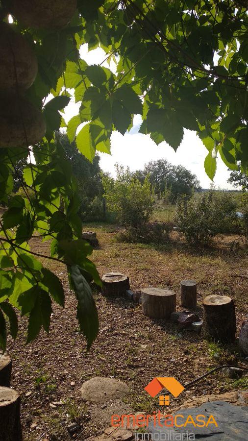 For sale of  in Guareña