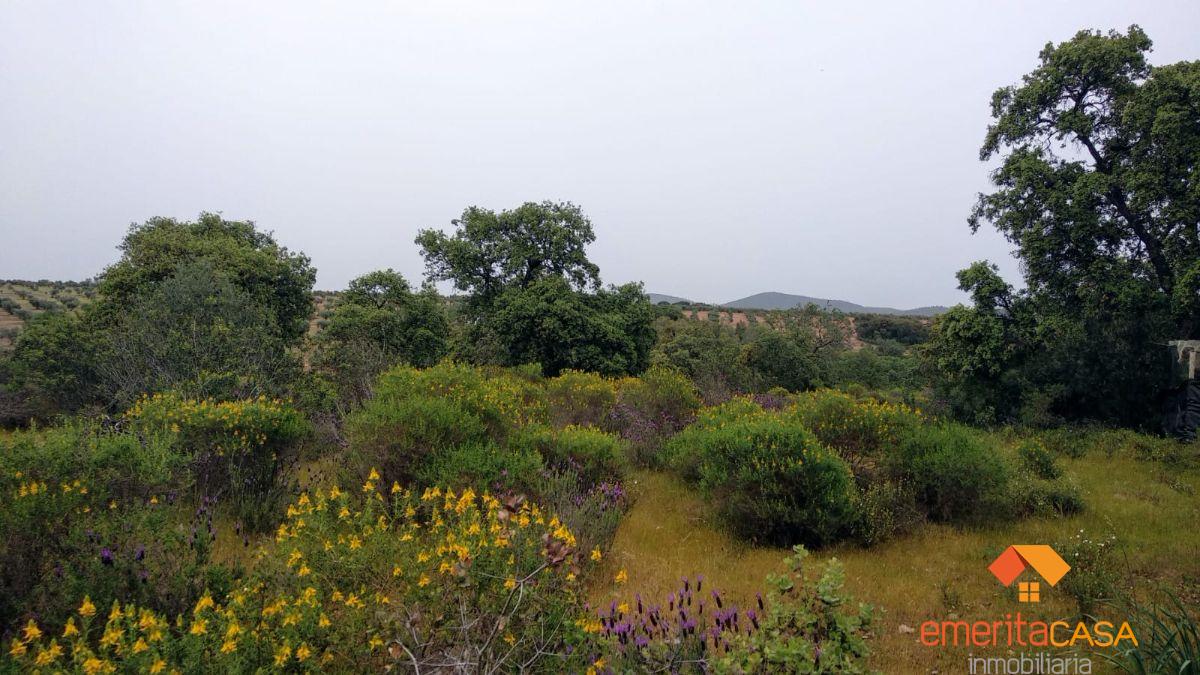 For sale of  in Guareña