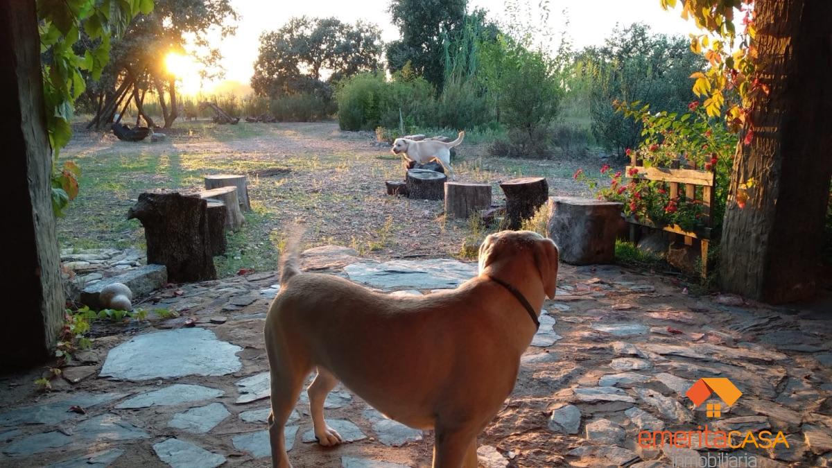 For sale of  in Guareña