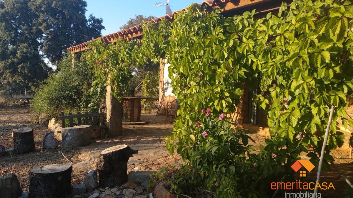 For sale of  in Guareña