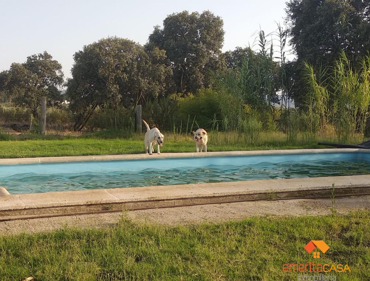 For sale of  in Guareña