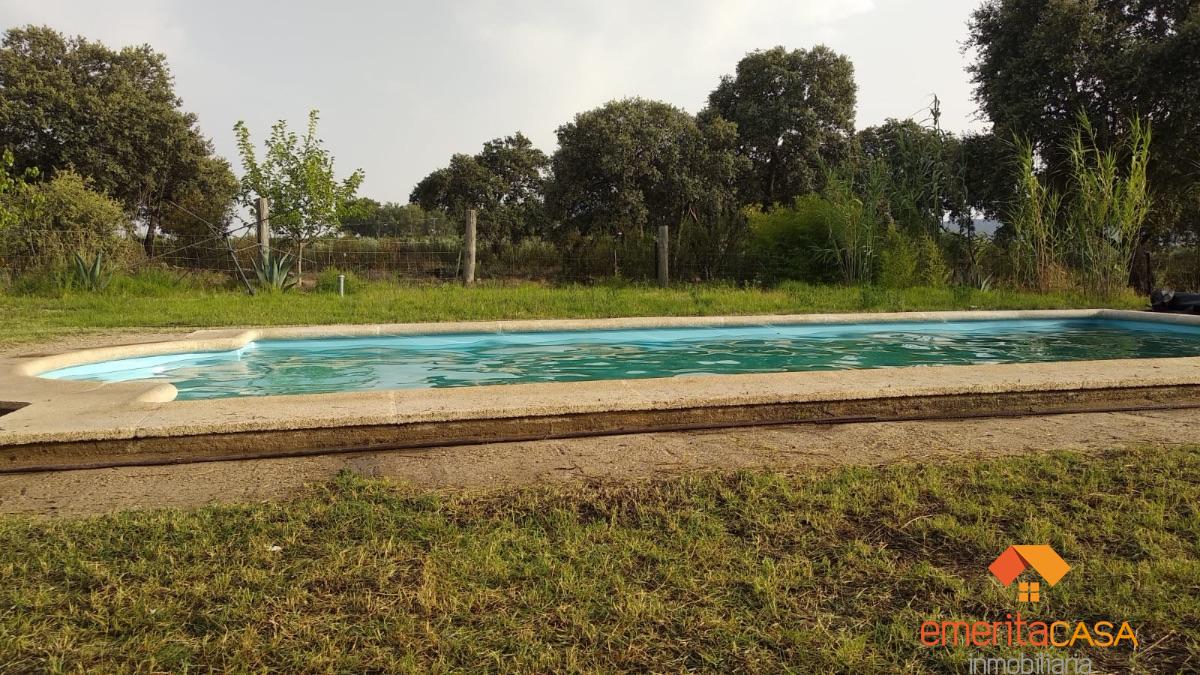 For sale of  in Guareña