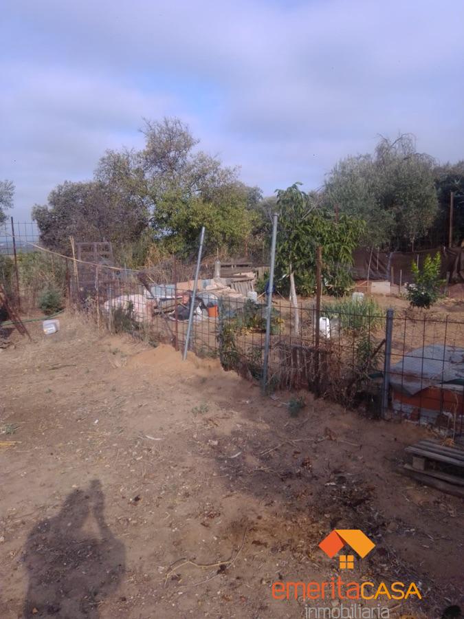 Venta de finca rústica en Don Álvaro