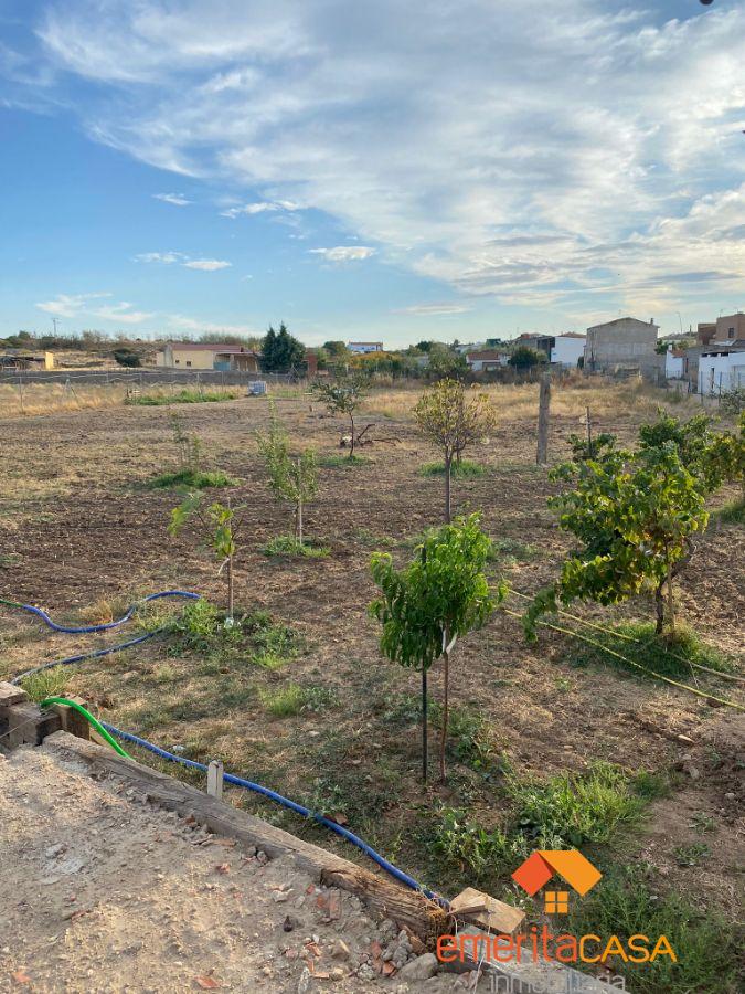 Venta de terreno en Mirandilla