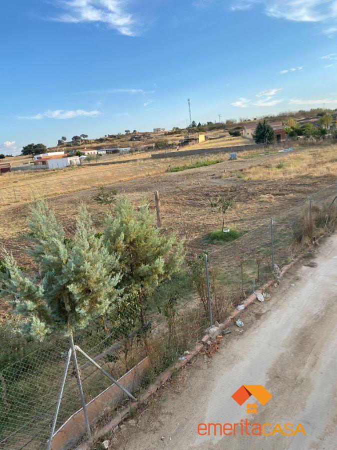 For sale of land in Mirandilla