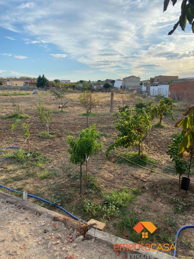 Venta de terreno en Mirandilla