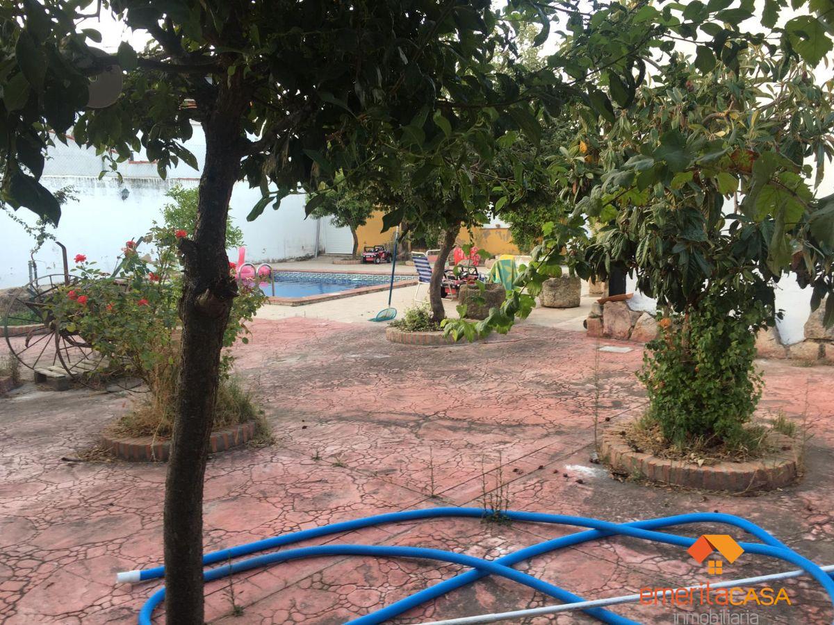 For sale of house in Mirandilla