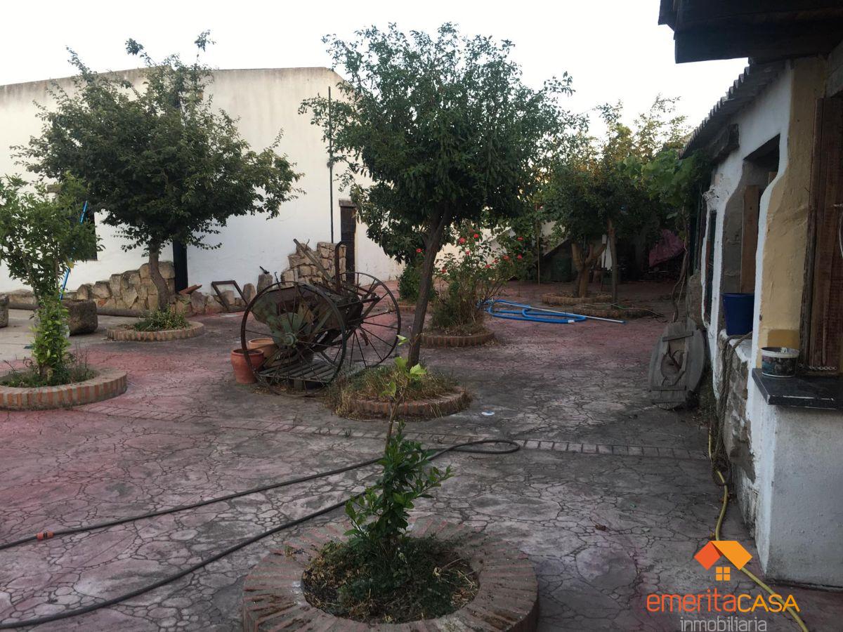 For sale of house in Mirandilla