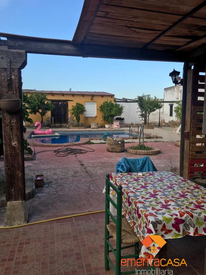 For sale of house in Mirandilla