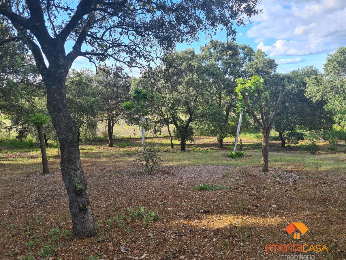 For sale of villa in Mérida